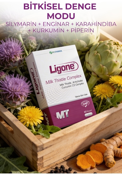 Milk Thistle 60 Kapsül