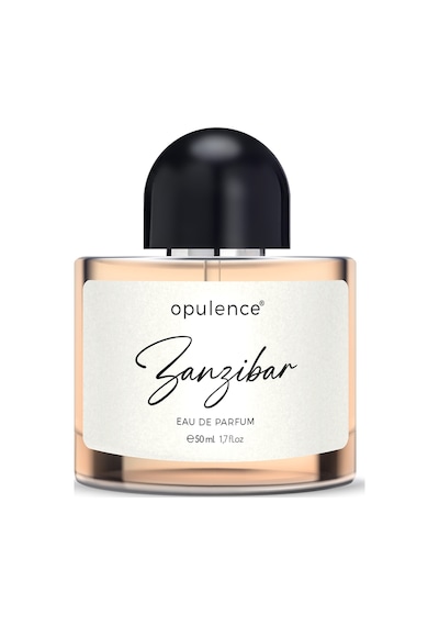 Hc Care Opulence Zanzibar Erkek Parfüm EDP 50 ML