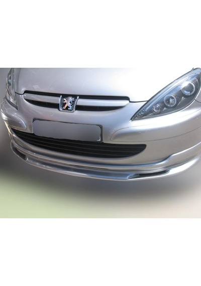 PEUGEOT 307 ASTARLI DÜZ ÖN KARLIK