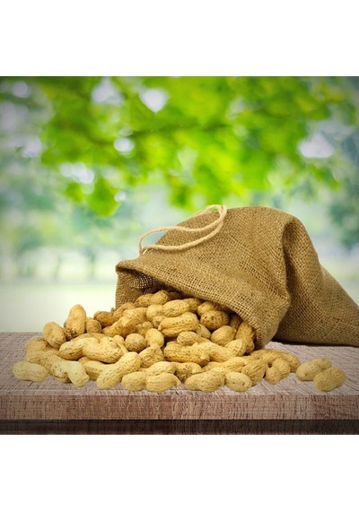 Yeni Sezon Yeni Hasat Çiğ Haşlamalık Taze Yer Fıstığı Taze Söküm 3 Kg