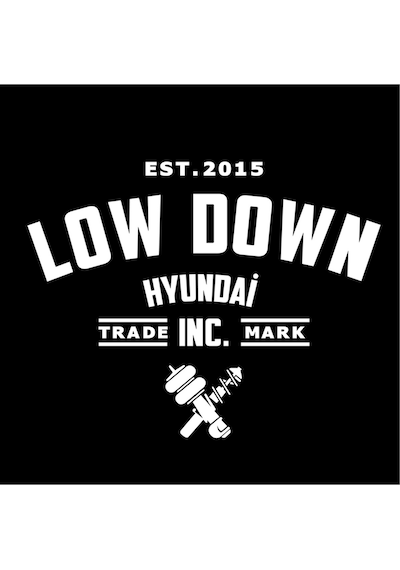 Low Down Hyundai Arka Cam Sticker 40 31 Cm