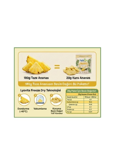 Ananas Dondurularak Kurutulmuş Freeze Dried 20 G