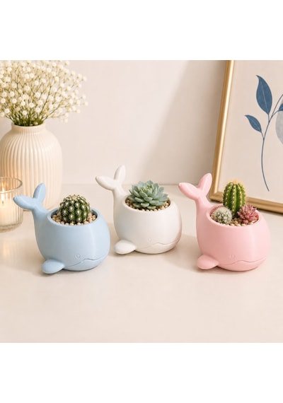 3 Lü Sevimli Balina Saksı Seti Minik Kaktüs Ve Sukulent Saksısı Pembe