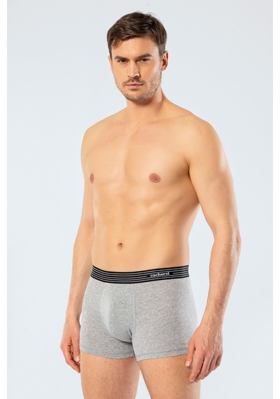 Cacharel Erkek 2'li Boxer Düz 1318/gri Gri