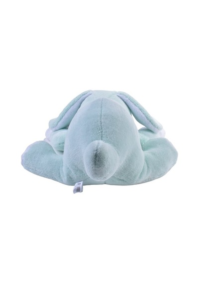 Yatan Köpek Mint Yeşili Wellsoft 45 cm