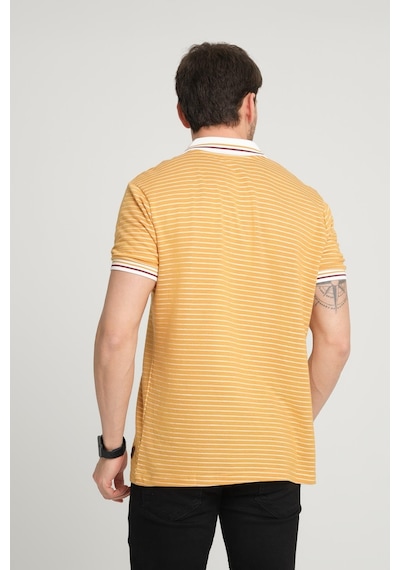 Alexander Gardi Alexandergardı Çizgili Polo Yaka T-shirt E23-0046 001