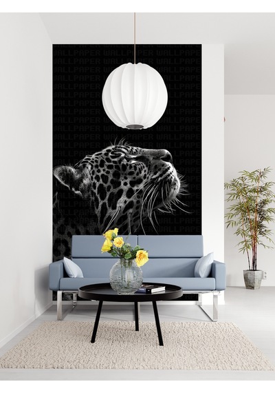 Siyah Beyaz Jaguar Poster Duvar Kağıdı Renkli