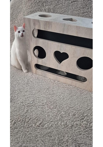 Kedi Tırnak Törpüsü Ve Oyun Kutusu L Model - Doğal Ağaç, Ev Kedileri İçin