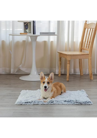 Evcil Hayvan Battaniyesi, 56x36cm Nefes Alabilen Uzun Tüylü Lifli Kedi Örtüsü, Yumuşak Sıcak Tutan Makinede Yıkanabilir Köpek Matı, Yatak Koltuk Ve Seyahat Kullanımı İçin Uygundur Evcil Hayvan Battaniyesi, 56x36cm Nefes Alabilen Uzun Tüylü Lifli Kedi Örtüsü, Yumuşak Sıcak Tutan Makinede Yıkanabilir Köpek Matı, Yatak Koltuk Ve Seyahat Kullanımı İçin Uygundur