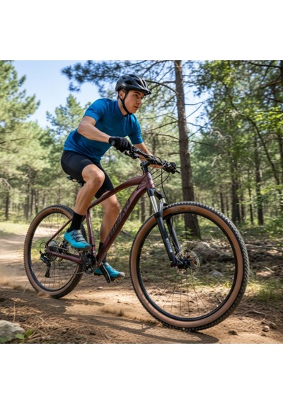 Bisan Mtx 7600 - 27'' Jant Dağ Bisikleti 17'' 43 Cm M Kadro - Bordo Siyah Çok Renkli