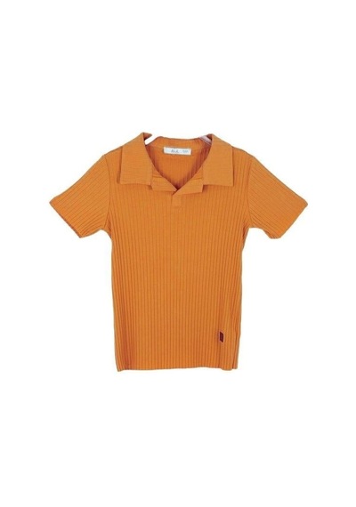 Nk Kids Çocuk Polo Yaka Fitilli T-shirt-14004-tarçın Tarçın