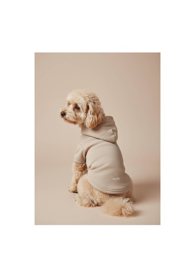 Kapüşonlu Kedi Köpek Kıyafeti Sweatshirt Hoodie Evcil Hayvan Giysisi