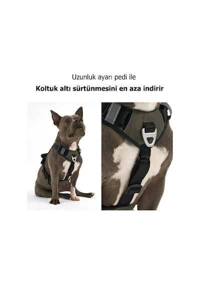 Interlaken Harness Küçük ve Büyük Köpek Göğüs Tasması Gri Mor M Gri - Mor