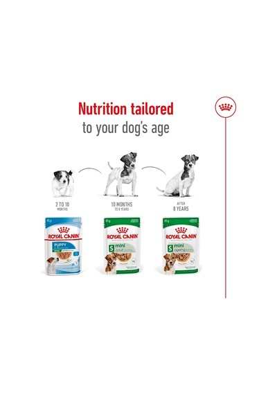 Mini Adult Köpek Yaş Mama, 85 Gr