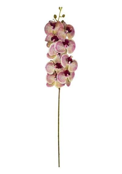 Yapay Çiçek Çilli Pembe Islak Orkide Gerçeksi Doku Uzun Dal 90 Cm Diğer