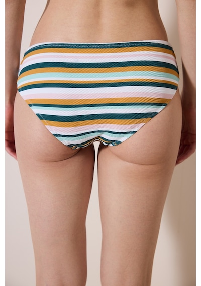 Penti Shona Hipster Dokulu Çizgili Bikini Altı Ple2fuvf24ıy-str Çok Renkli