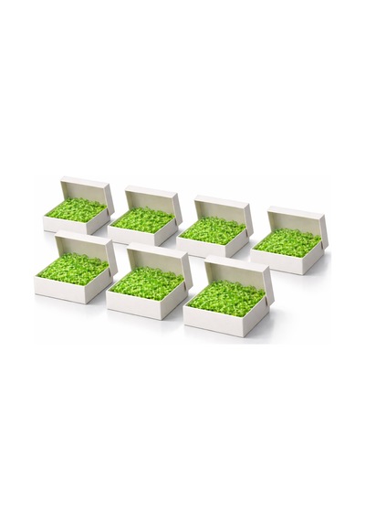 Beyaz Karton Takı Kutusu 9,5x9,5x2 Cm Kapaklı Model 5 Adet + Yeşil Kırpık Kağıtlı