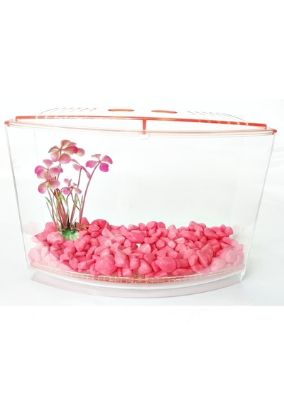 Bölmeli Izgaralı Betta Beta Kabı Tankı Akvaryum 1800 Ml - 19x8x13 Cm Pembe