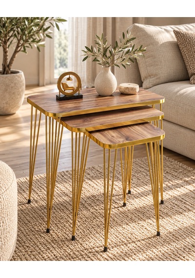 Odera Gold Ceviz Zigon Sehpa 3'lü Set Metal Tel Ayaklı Modern Retro Salon Sehpası Diğer