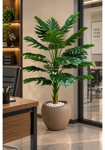 Monestra Ağacı 160 Cm 21 Yaprak Mocha Lale Saksıda Çok Renkli