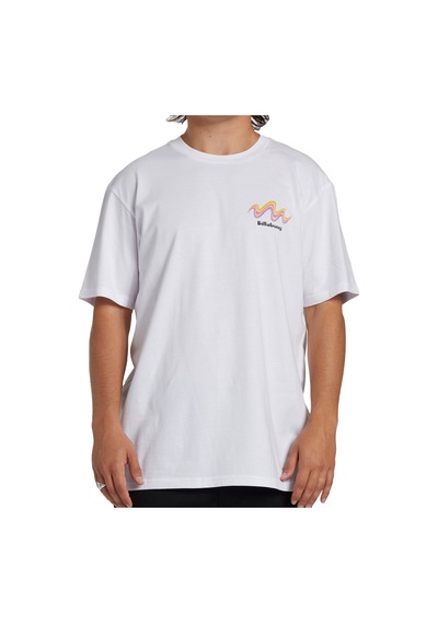 Bıllabong Billabong Segment Tees Erkek Tişört Beyaz 10 BEYAZ Beyaz
