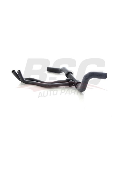 Bsg Radyator Hortumu Alt - Megane Iı/scenıc Iı 03-