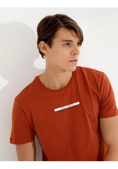 Pierre Cardin Bakır Slim Fit Bisiklet Yaka T-shirt Çok Renkli