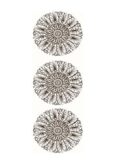 Artebella 5612v Home Design Kolay Transfer 10x25 Cm