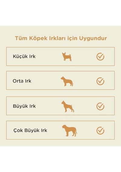 Ayrex Kito Kurutulmuş Dana Kuyruk Çiğnemelik Köpek Ödül Maması%100 Doğal, Glutensiz, Organik 100 Gr Dog Treat