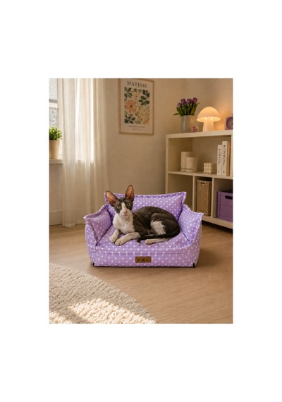 Kedi Ve Köpek Koltuğu Tamamen Fermuarlı Çıkarılabilir İç Minder Boncuk Elyaf Kaydırmaz Taban Kedi Ve Köpek Yatağı Lila Puantiye 1616543729 Kedi Ve Köpek Koltuğu Tamamen Fermuarlı Çıkarılabilir İç Minder Boncuk Elyaf Kaydırmaz Taban Kedi Ve Köpek Yatağı Lila Puantiye 1616543729