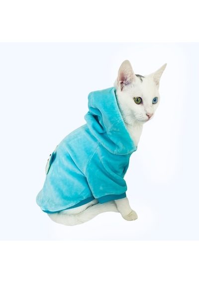 Kemique Blue Bear Sweatshirt Kedi Süveteri