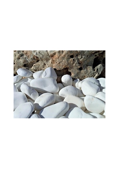 Dolomit Taş 50 Kg 4-6 Cm Beyaz Dolomit Bahçe Taşı Çakıl Taşı Saksı Taşı Akvaryum Teraryum Taşı