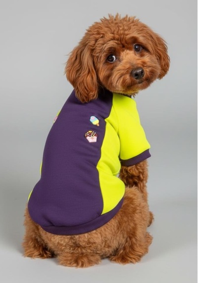 Dondurmalı Patiler Polar Sweatshirt - Ufak Irk Köpekler İçin