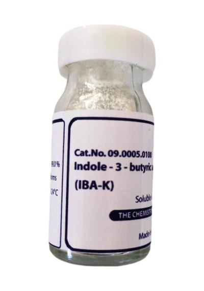 Iba K Iba. Indol Bütirik Asit Çelik Köklendirme Hormonu 1 G