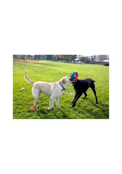 Fetch Wheel Oyun Halkası Büyük Boy
