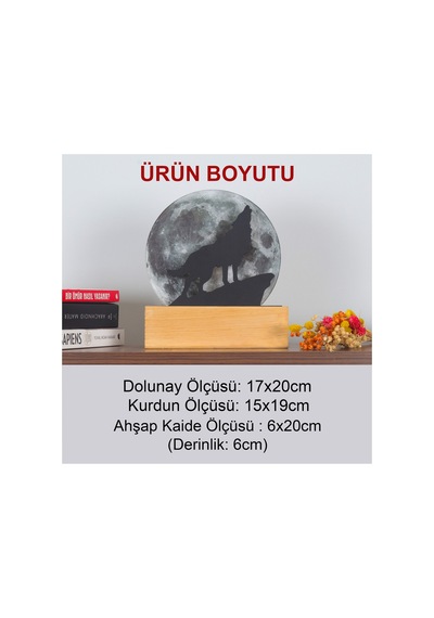 Led Işıklı Pleksi Dolunay Kişiselleştirilebilir Dekoratif Biblo Ursula Kurt Anahtar Askılığı Gri - 737202186