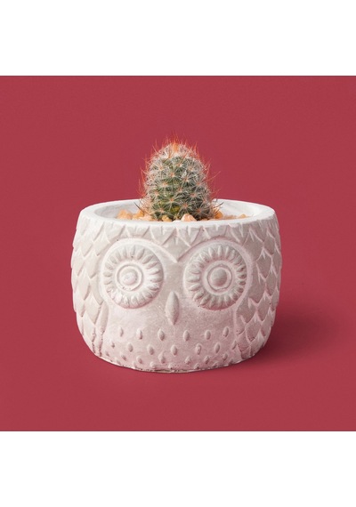 Objevii Kozalak Desenli Beton Saksı - Krem - 8x10 Cm Renkli
