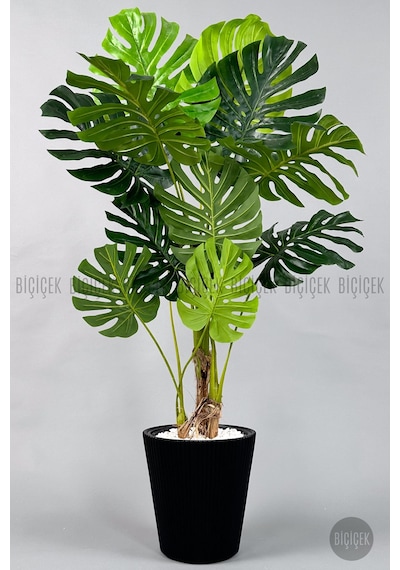 Biçiçek Yapay Monstera Ağacı Deve Tabani 160 Cm Si̇yah Luna Saksıda