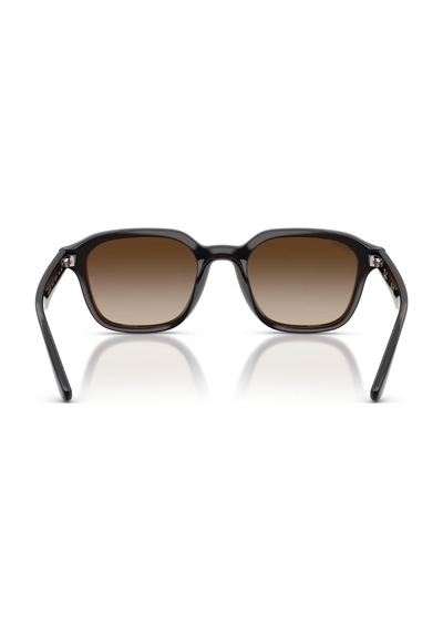 Ray-Ban Rb 0rb4458d 714/13 65 18 140 Gu036897 Erkek Güneş Gözlüğü Kahverengi