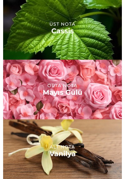 Armasari Harmony Vanilla Edp Kalıcı Kadın Parfüm 100ml Meyveli Cassis, Gül, Paçuli, Vanilya Vanilya