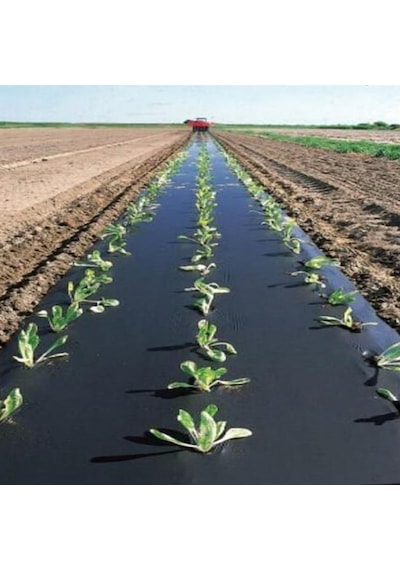 Mulch Naylonu 120 CM X 1000 M Siyah Taban Örtüsü Pidok Çilek M
