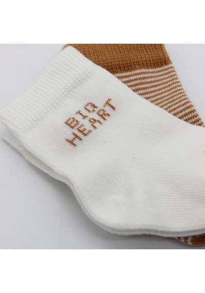 Bistyle Big Heart Penye Soket Çorap 2'li Bs10117 Hardal Hardal
