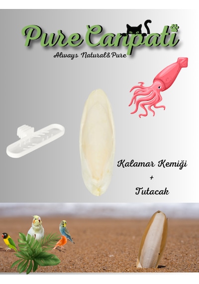 Purecanpati Mürekkep Balığı Kemiği Kalamar Küçük Boy 1 Adet