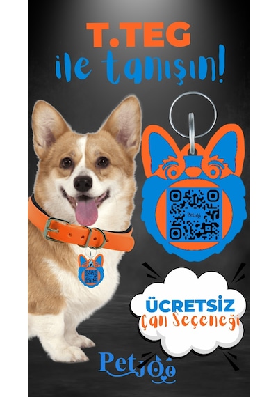 Petjoo 15.T.Teg Mavi-Turuncu Qr'lı Köpek Künyesi