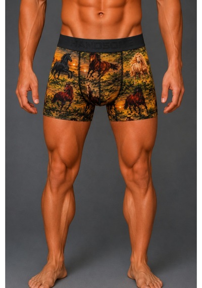 Brem Handsome At Desenli Erkek Boxer Çok Renkli