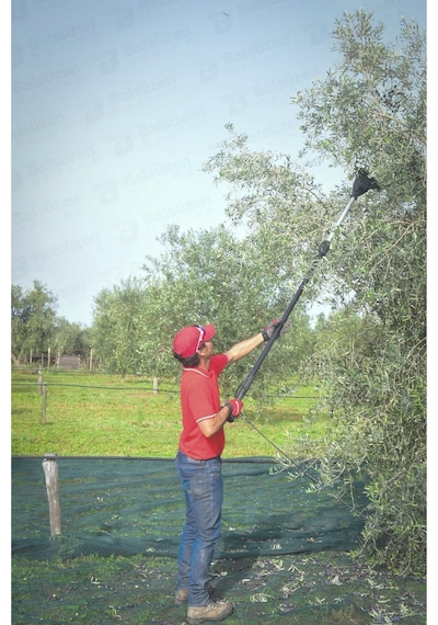 Cıfarellı Elivo SB42S Teleskopik Akülü Zeytin Hasat Makinesi