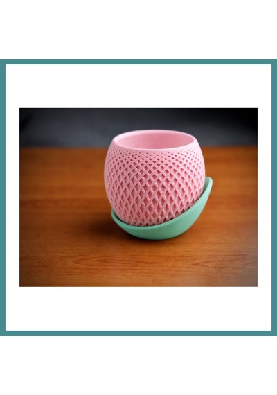 Trendexa 3d Baskı Küre Saksı - Kafes Dokulu İki Parçalı Dekoratif Saksı - Pembe-mint Mac Standart