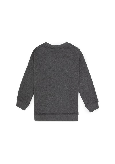 U.s. Polo Assn. Erkek Çocuk Antrasit Melanj Sweatshirt 50313829-vr081 Antrasıt Melanj