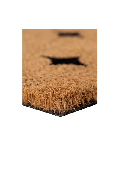 Coco Shıne Kıl Kapı Önü Paspası 40x60 3679 Natural