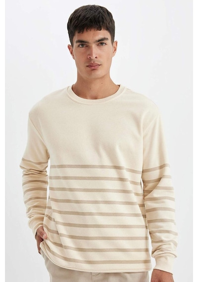 DeFacto Comfort Regular Fit Rahat Kalıp Bisiklet Yaka Çizgili Kalın Sweatshirt D2397AX24AUER42